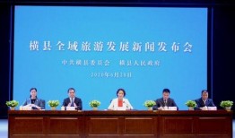 横县新闻爆料电话,揭秘横县最新动态，一键掌握民生资讯